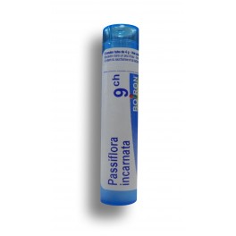 https://www.pharmacie-place-ronde.fr/8607-thickbox_default/passiflora-incarnata-boiron-tubes-granules-doses.jpg
