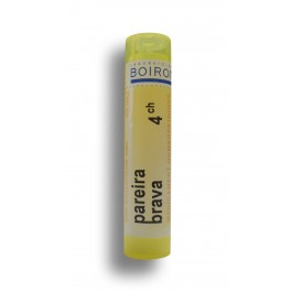 https://www.pharmacie-place-ronde.fr/8613-thickbox_default/pareira-brava-boiron-tubes-granules-doses.jpg