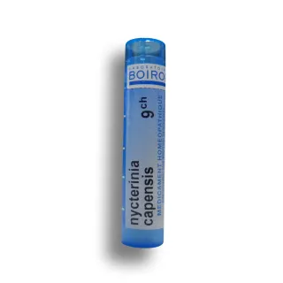 Nycterinia capensis Boiron tubes granules et doses - 4 CH 5 CH 7 CH 9 CH 12 CH 15 CH 30 CH