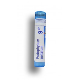 https://www.pharmacie-place-ronde.fr/8664-thickbox_default/podophyllum-peltatum-boiron-tubes-granules-doses.jpg