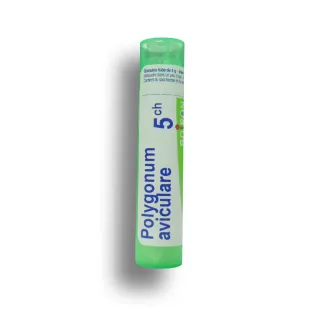 Polygonum aviculare Boiron tubes granules et doses - 4 CH 5 CH 7 CH 9 CH 12 CH 15 CH 30 CH
