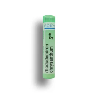 Rhododendron chrysanthum Boiron tubes granules et doses - 4 CH 5 CH 7 CH 9 CH 12 CH 15 CH 30 CH