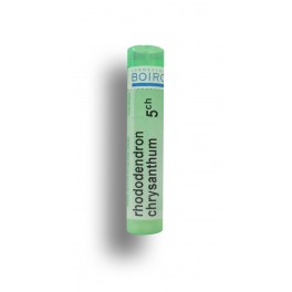 https://www.pharmacie-place-ronde.fr/8723-thickbox_default/rhododendron-chrysanthum-boiron-tubes-granules-doses.jpg