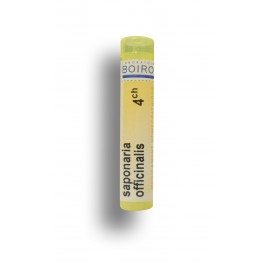 https://www.pharmacie-place-ronde.fr/8725-thickbox_default/saponaria-officinalis-boiron-tubes-granules-doses.jpg