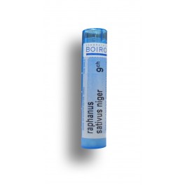 https://www.pharmacie-place-ronde.fr/8726-thickbox_default/raphanus-sativus-niger-boiron-tubes-granules-doses.jpg
