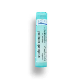 Scrofularia composé Boiron tube granules homéopathie