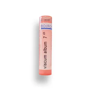 Viscum album Boiron tubes granules et doses - 4 CH 5 CH 7 CH 9 CH 12 CH 15 CH 30 CH