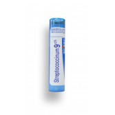 Streptococcinum Boiron - Tubes granules et doses