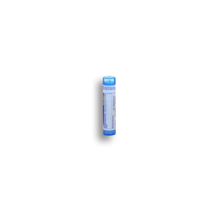 Orthosiphon Boiron tubes granules et doses - 4 CH 5 CH 7 CH 9 CH 12 CH 15 CH 30 CH