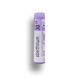 https://www.pharmacie-place-ronde.fr/8934-thickbox_default/eberthinum-boiron-tube-granules-doses.jpg