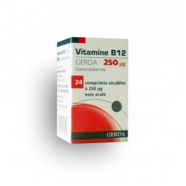 https://www.pharmacie-place-ronde.fr/9360-thickbox_default/vitamine-b12-gerda-250-g.jpg
