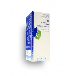 https://www.pharmacie-place-ronde.fr/9651-thickbox_default/macerat-glycerine-olea-europaea-jeunes-pousses-1-dh.jpg