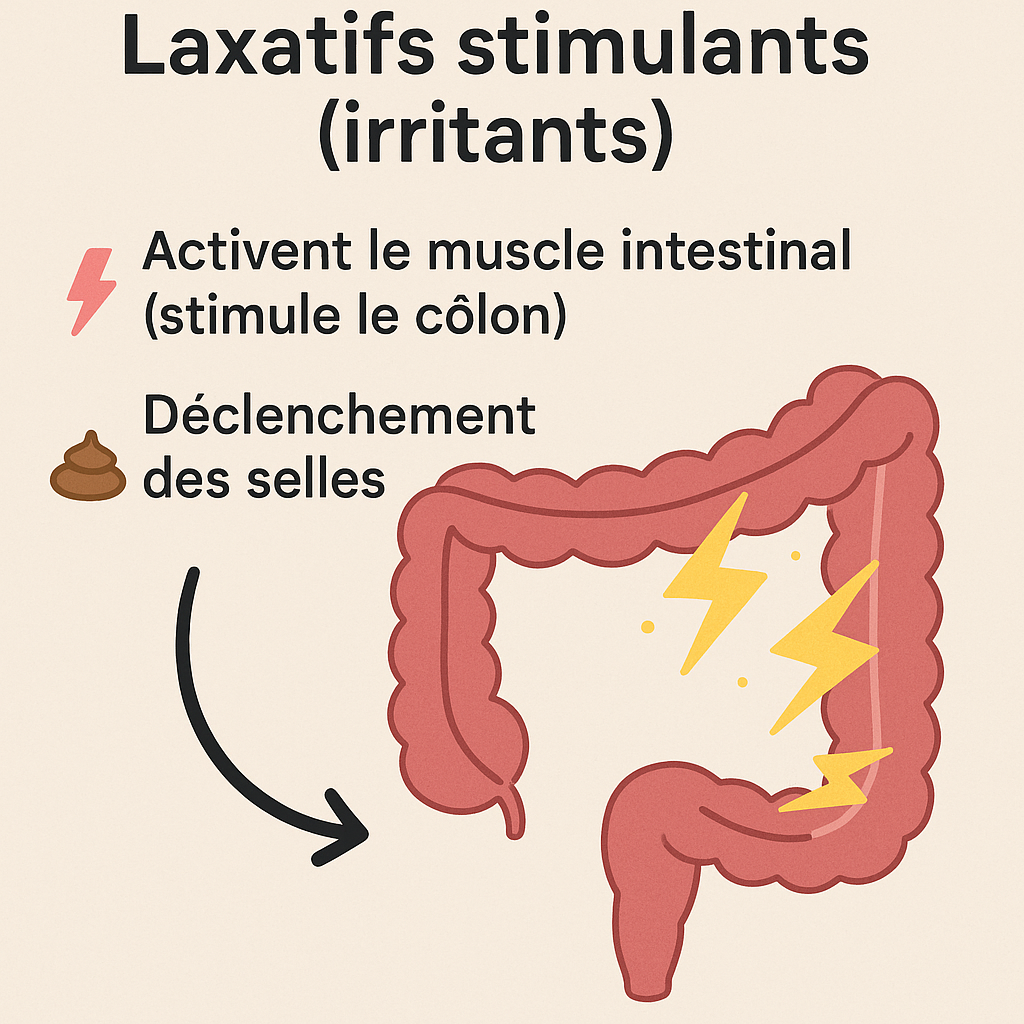 Laxatifs stimulants schéma
