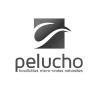 Pelucho
