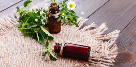 Teintures mères homéopathiques