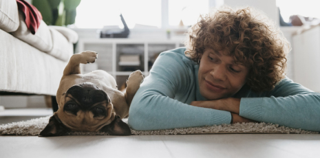 Stress chez les animaux de compagnie : causes, répercussions et solutions